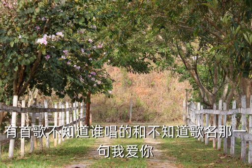 有首歌不知道谁唱的和不知道歌名那一句我爱你