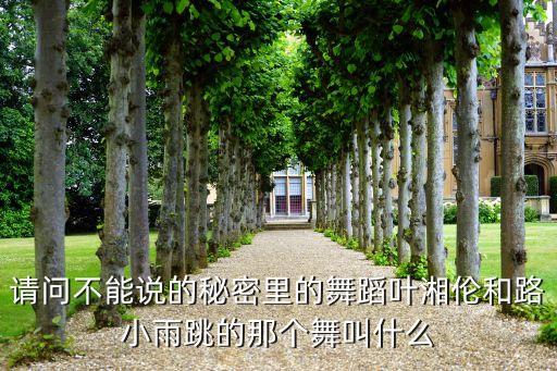 请问不能说的秘密里的舞蹈叶湘伦和路小雨跳的那个舞叫什么