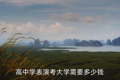 高中学表演考大学需要多少钱