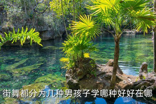 街舞都分为几种男孩子学哪种好好在哪