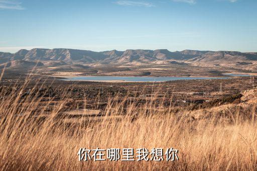 你在哪里我想你