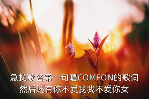 急找歌名第一句唱COMEON的歌词然后还有你不爱我我不爱你女