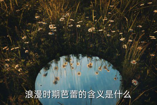 浪漫时期芭蕾的含义是什么