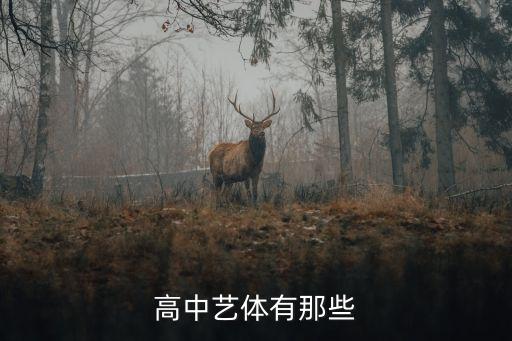 高中艺体有那些