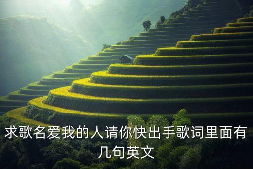求歌名爱我的人请你快出手歌词里面有几句英文