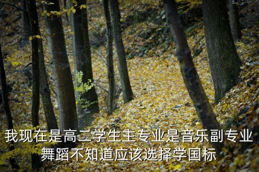 我现在是高二学生主专业是音乐副专业舞蹈不知道应该选择学国标