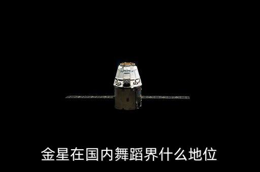 金星在国内舞蹈界什么地位