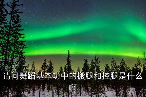如何练舞蹈控腿，怎么训练控腿腿抬久了就好累啊怎么训练呢