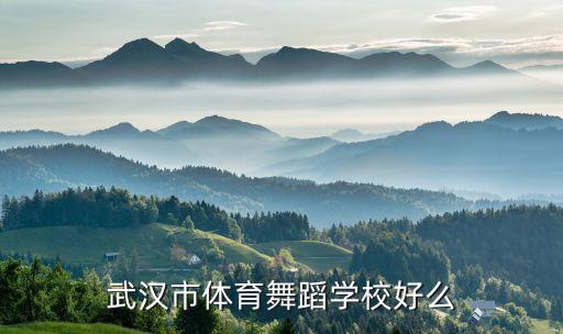 武汉市体育舞蹈学校好么