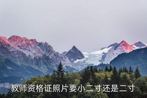 教师资格证照片要小二寸还是二寸