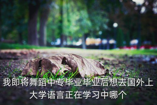 我即将舞蹈中专毕业毕业后想去国外上大学语言正在学习中哪个