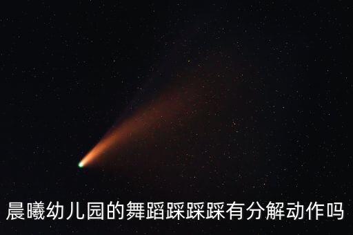 晨曦幼儿园的舞蹈踩踩踩有分解动作吗