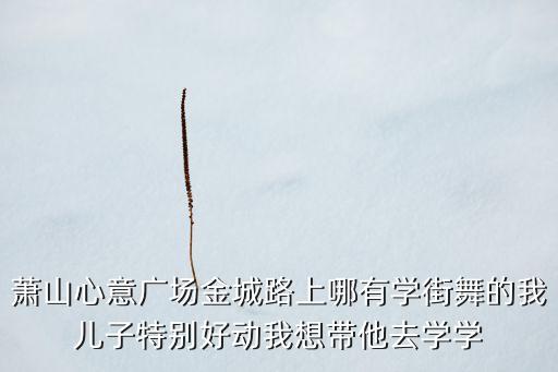 萧山心意广场金城路上哪有学街舞的我儿子特别好动我想带他去学学