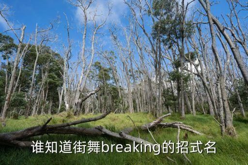 谁知道街舞breaking的招式名