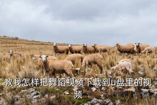 教我怎样把舞蹈视频下载到u盘里的视频
