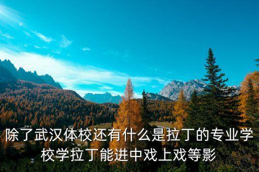 拉丁舞艺校有哪些学校，哪里有学拉丁舞的学校
