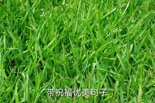 带祝福优美句子