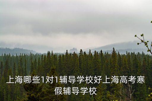 上海哪些1对1辅导学校好上海高考寒假辅导学校