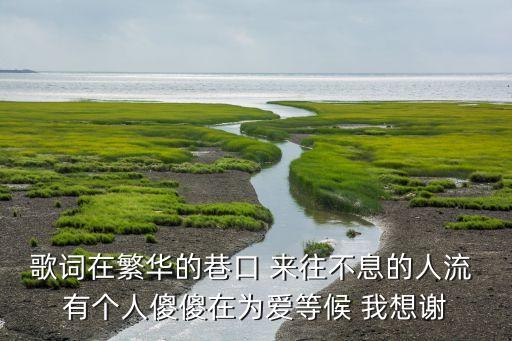 歌词在繁华的巷口 来往不息的人流 有个人傻傻在为爱等候 我想谢