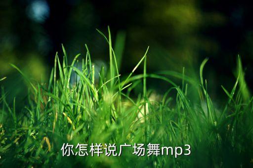 你怎样说广场舞mp3