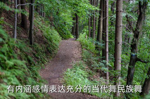 有内涵感情表达充分的当代舞民族舞