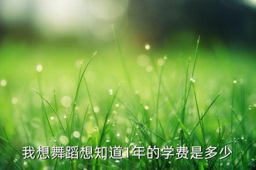 我想舞蹈想知道1年的学费是多少