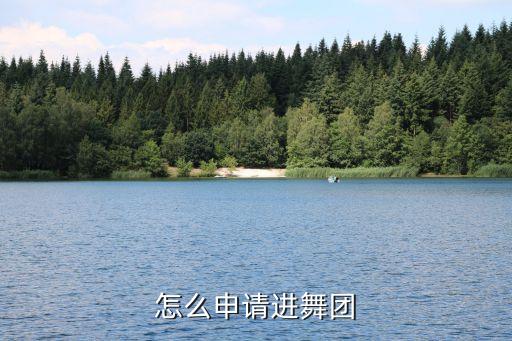 如何考爵士舞舞团，我在学习爵士但是我还想去考证书我是上海的请问怎么去考级