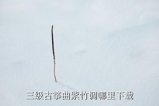 三级古筝曲紫竹调哪里下载