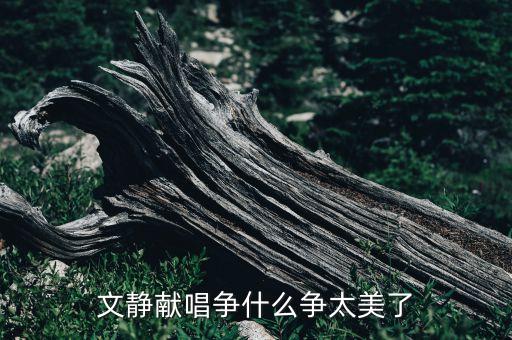 文静献唱争什么争太美了
