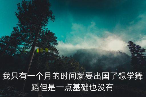 我只有一个月的时间就要出国了想学舞蹈但是一点基础也没有