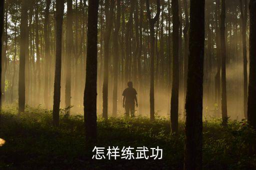 怎样练武功