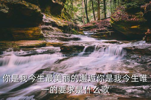 你是我今生最美丽的邂逅你是我今生唯一的要求是什么歌