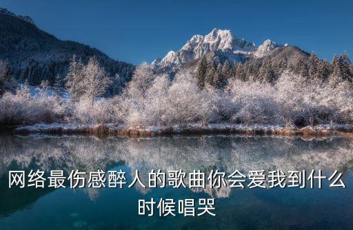 网络最伤感醉人的歌曲你会爱我到什么时候唱哭