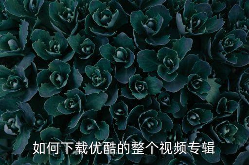 如何下载优酷的整个视频专辑
