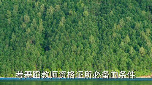 考舞蹈教师资格证所必备的条件