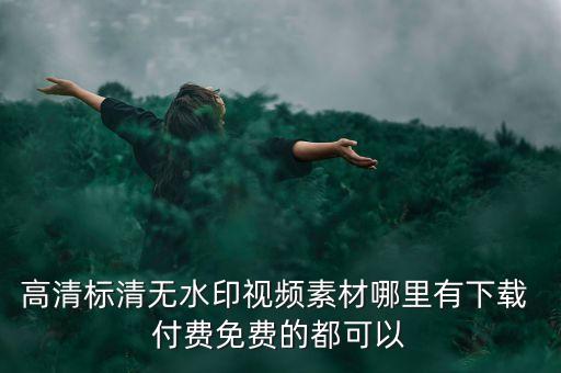 高清标清无水印视频素材哪里有下载 付费免费的都可以