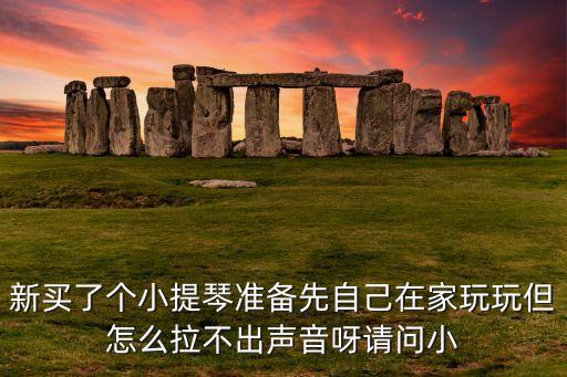 新买了个小提琴准备先自己在家玩玩但怎么拉不出声音呀请问小