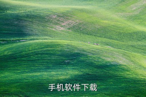 手机软件下载