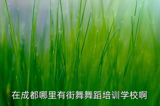 在成都哪里有街舞舞蹈培训学校啊