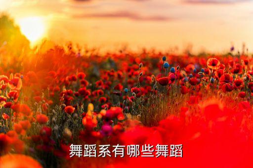 舞蹈系有哪些舞蹈