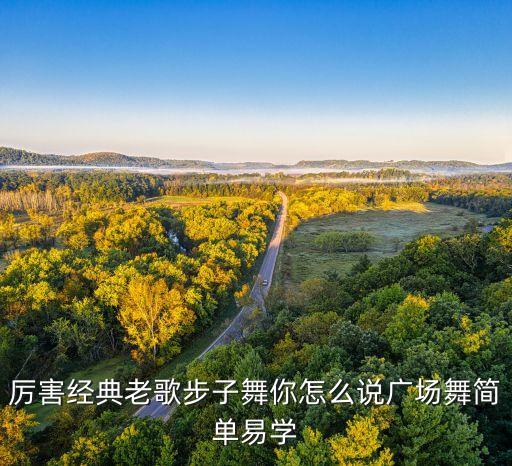 厉害经典老歌步子舞你怎么说广场舞简单易学