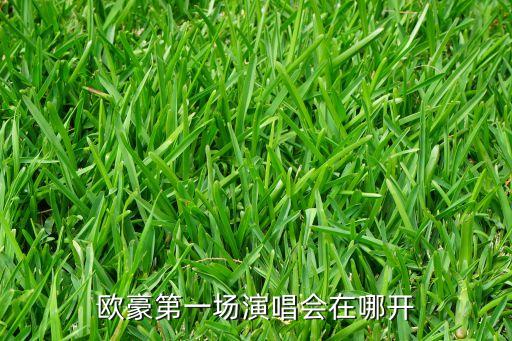 欧豪第一场演唱会在哪开