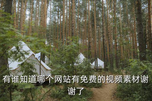 有谁知道哪个网站有免费的视频素材谢谢了