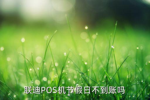 联迪POS机节假日不到账吗