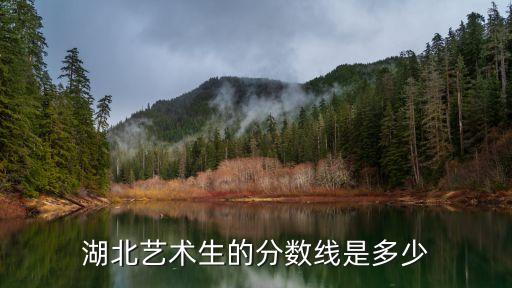 湖北艺术生的分数线是多少