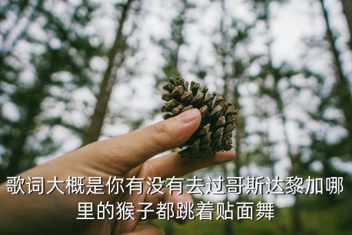 歌词大概是你有没有去过哥斯达黎加哪里的猴子都跳着贴面舞