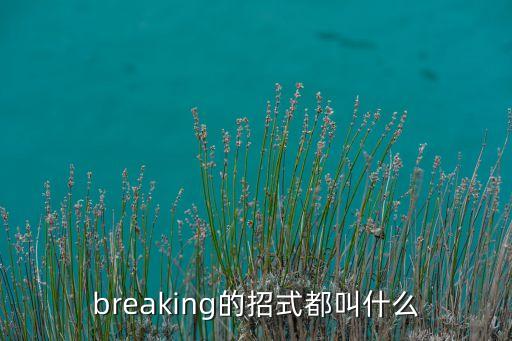 breaking的招式都叫什么