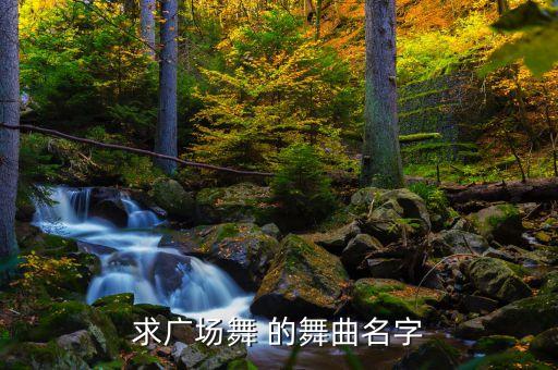 求广场舞 的舞曲名字