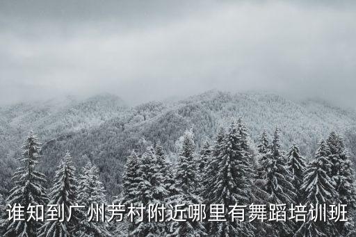 谁知到广州芳村附近哪里有舞蹈培训班