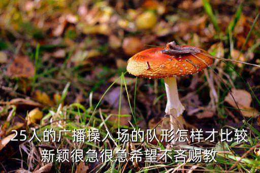 25人的广播操入场的队形怎样才比较新颖很急很急希望不吝赐教
